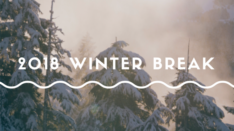 Video: 2017 Winter Break