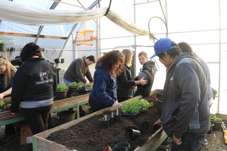 Classroom Insider: Horticulture