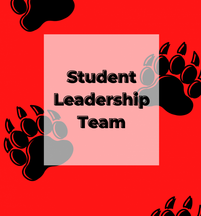 Student Leadership Team