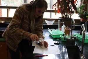 Classroom Insider: Lab day in Mrs.Weresuk’s